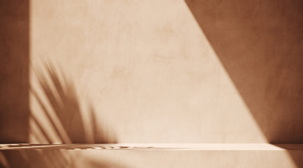 Quality Plastering Services expert plastering